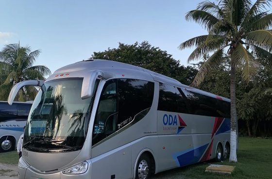 ¿Por qué viajar en tour desde Mérida es ideal para familias que quieren conocer Yucatán y Quintana Roo sin preocupaciones?